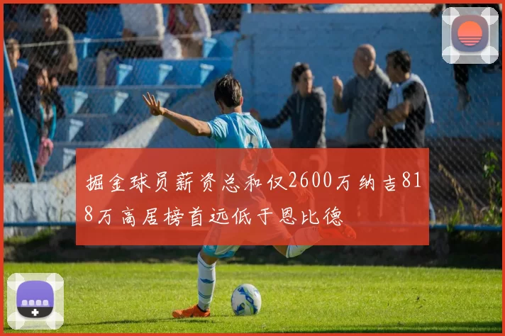掘金球员薪资总和仅2600万纳吉818万高居榜首远低于恩比德